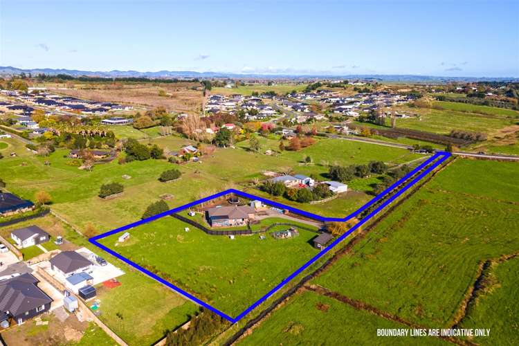 115a Travers Road Te Kauwhata_17