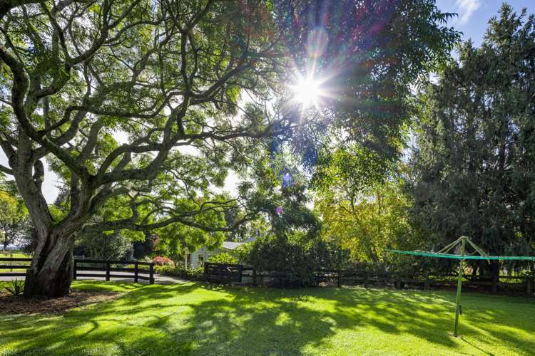 109 Saint Leger Road Te Awamutu_28