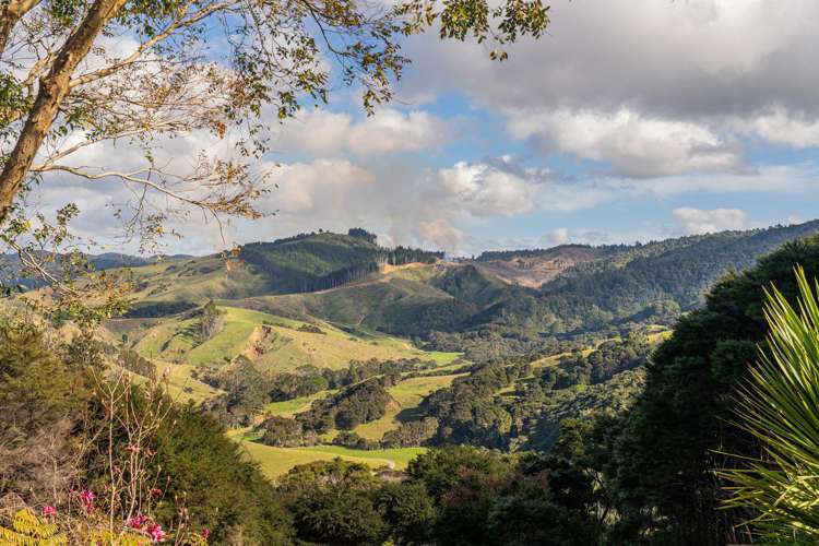 70C Centennial Drive Whitianga_35