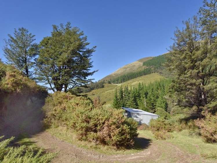 446 Glentui Bush Road Glentui_15