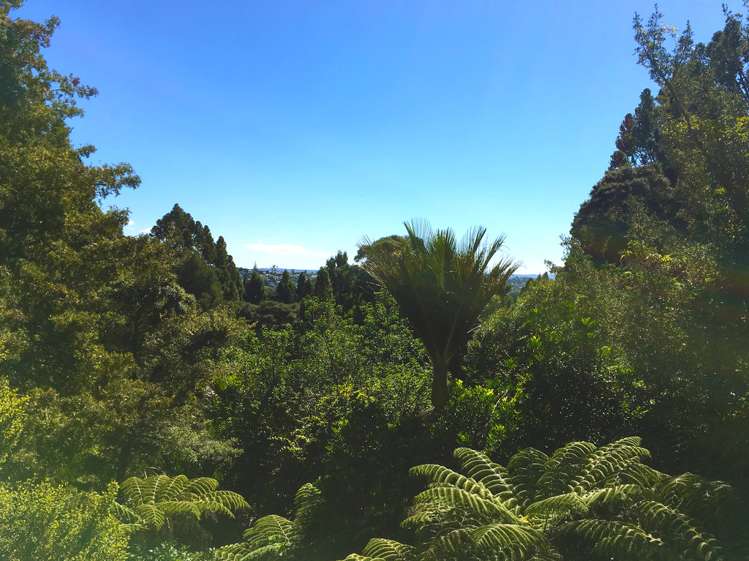 135 Konini Road Titirangi_19