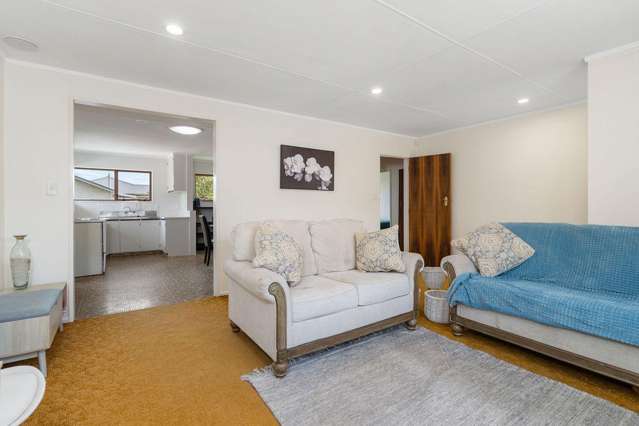 3B Herbert Street Masterton_1