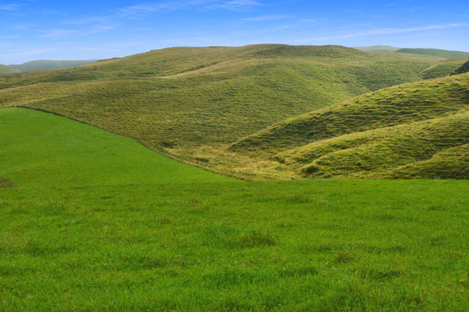 Fuchsia Creek Road Waitaki_0