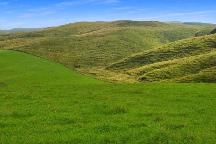 Fuchsia Creek Road Waitaki_0