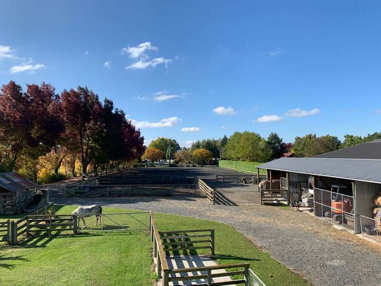 149 Forest Drive Methven_16