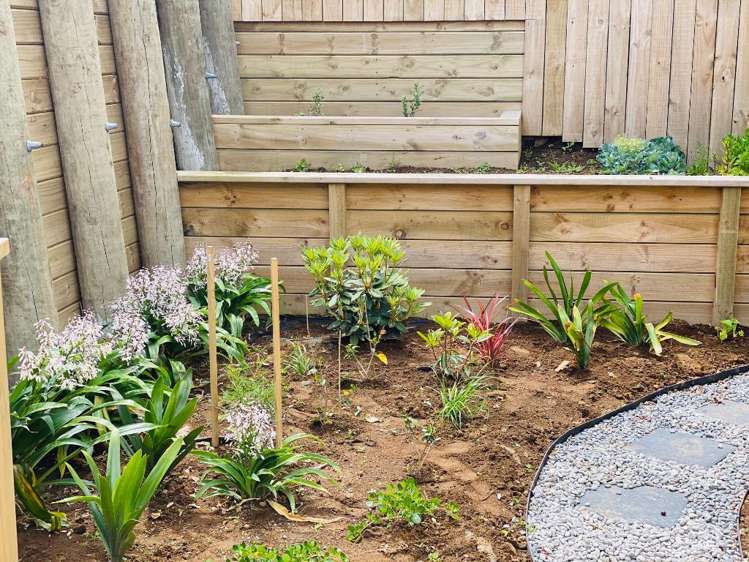 29A Dorset Ave Westown_3