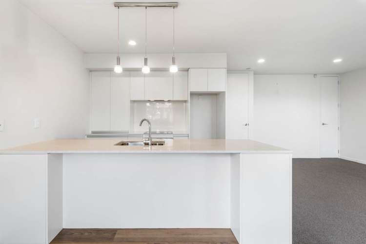 9 Bickerton Way Flat Bush_7