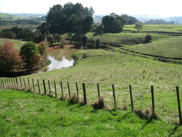 15 Tawa Road Huntly_2