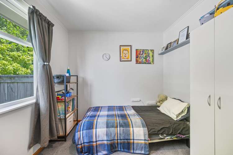 130 Guppy Road Taradale_6