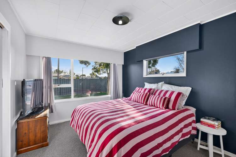 1 Arney Street Tamatea_9