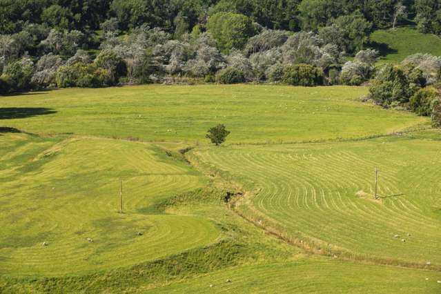 Mahaki Settlement Road Te Karaka_4