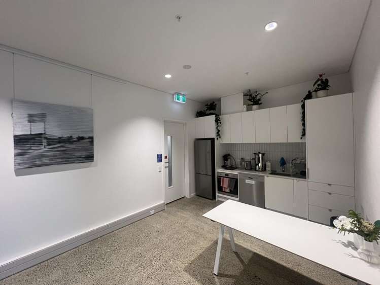 6 Nixon Street Grey Lynn_4