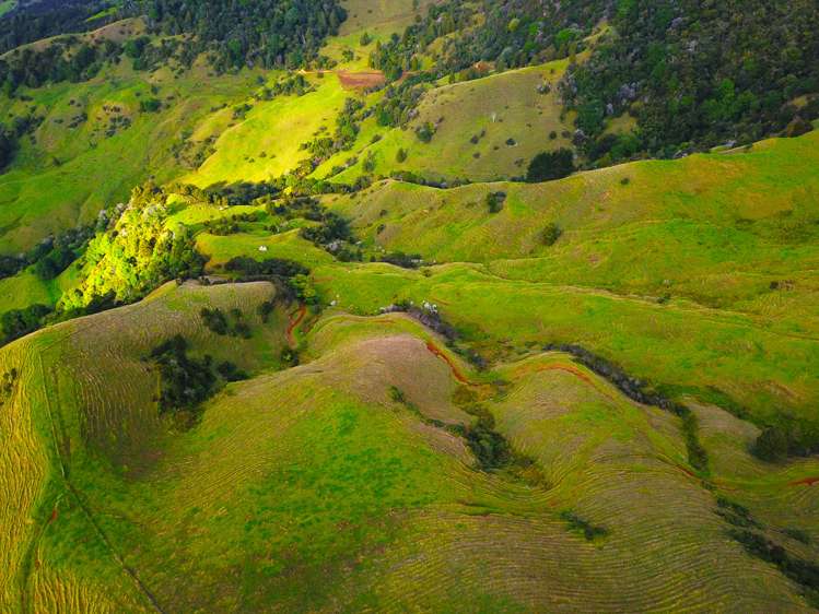 92 Takahue Saddle Road Takahue_46