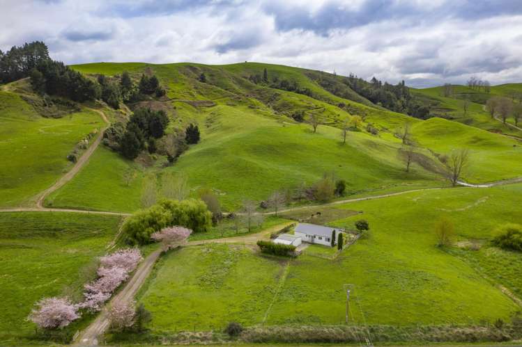 342 Happy Valley Road Maihiihi_12