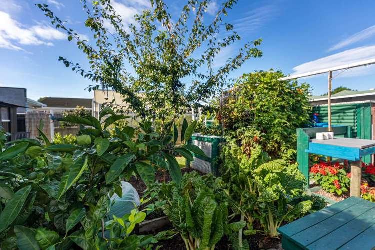 2b Wybo Veldman Place Whakatane_18