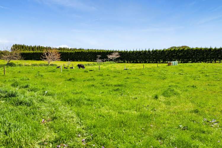 484 Corbett Road Lepperton_28