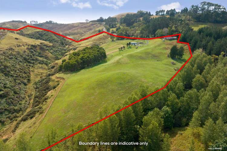 878 Waikaretu Valley Road Glen Murray_17