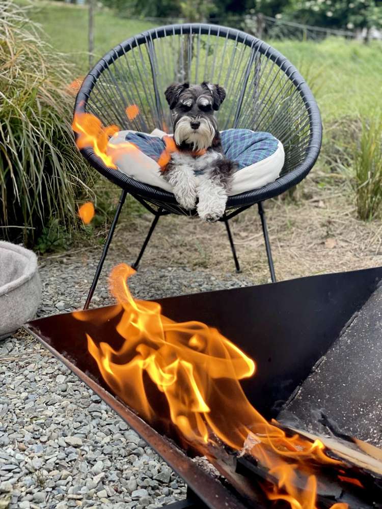 18 Orr Street Duntroon_14