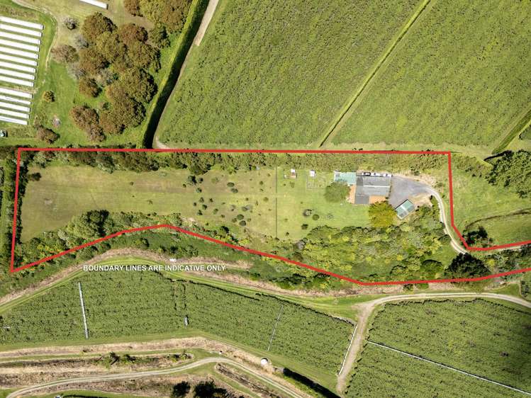 44A Martray Road Tahawai_26