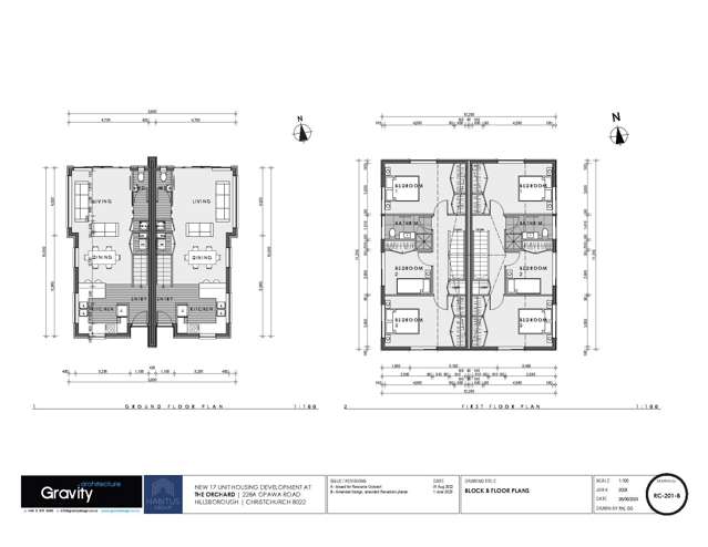 B4 228a Opawa Road Hillsborough_2