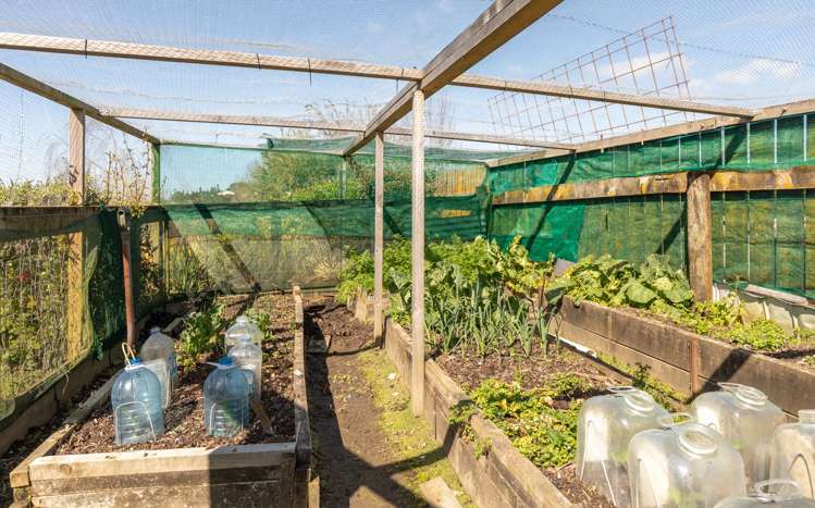 62 Wayside Road Te Kauwhata_28