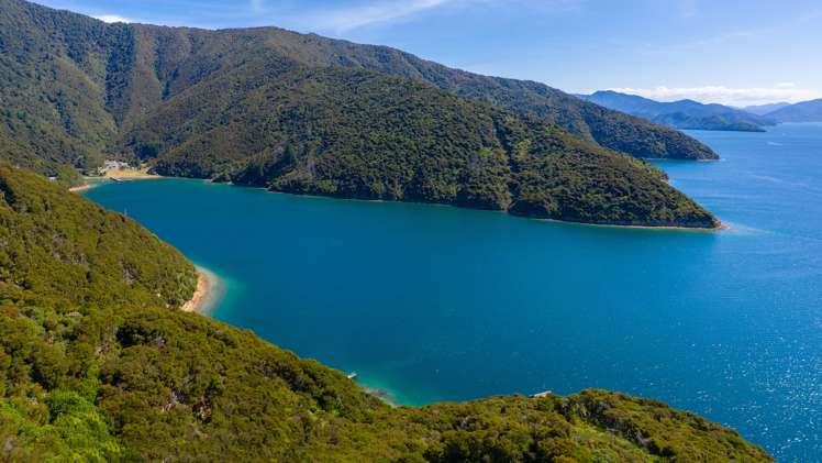 Curious Cove Curious Cove_21