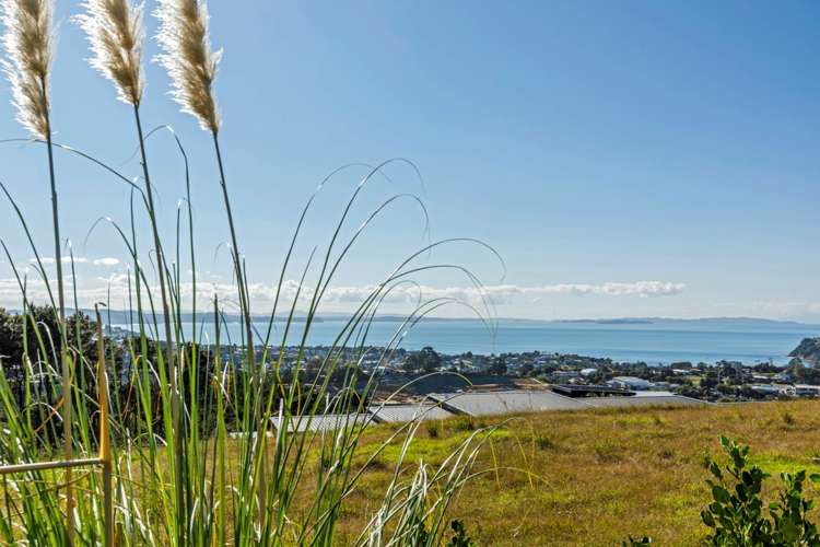 1 Woodridge Drive Stanmore Bay_10