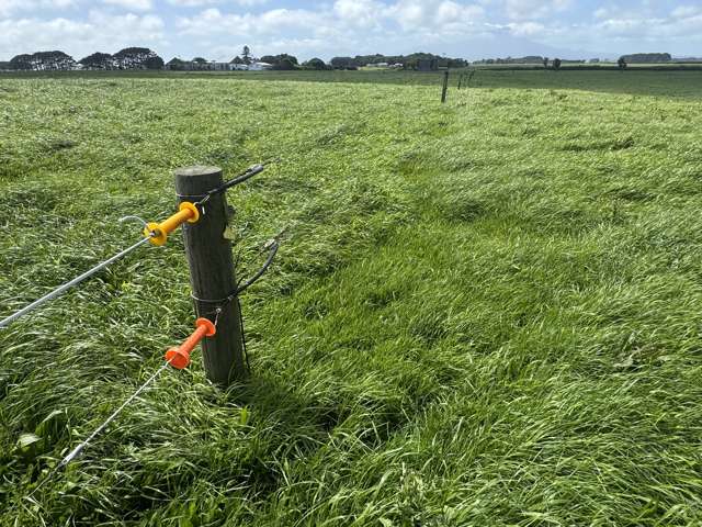 4782 South Road Opunake_1