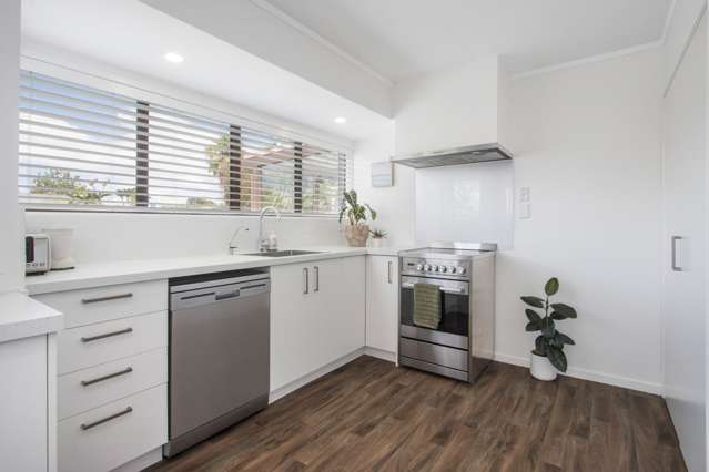 23 Princes Street Katikati_4