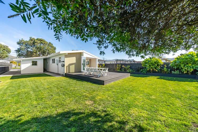 41 Lincoln Avenue Epuni_14