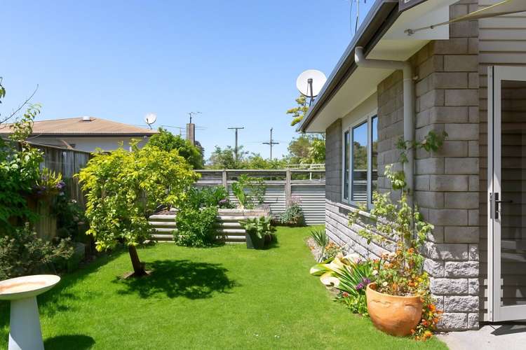 205 Clifford Street Whataupoko_7