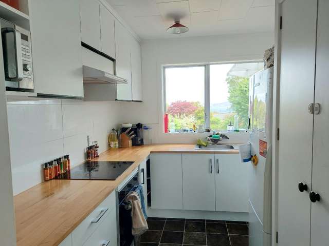 27 Puriri Street 11201_3