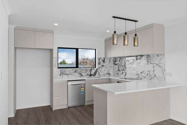 10A White Road Manurewa_1