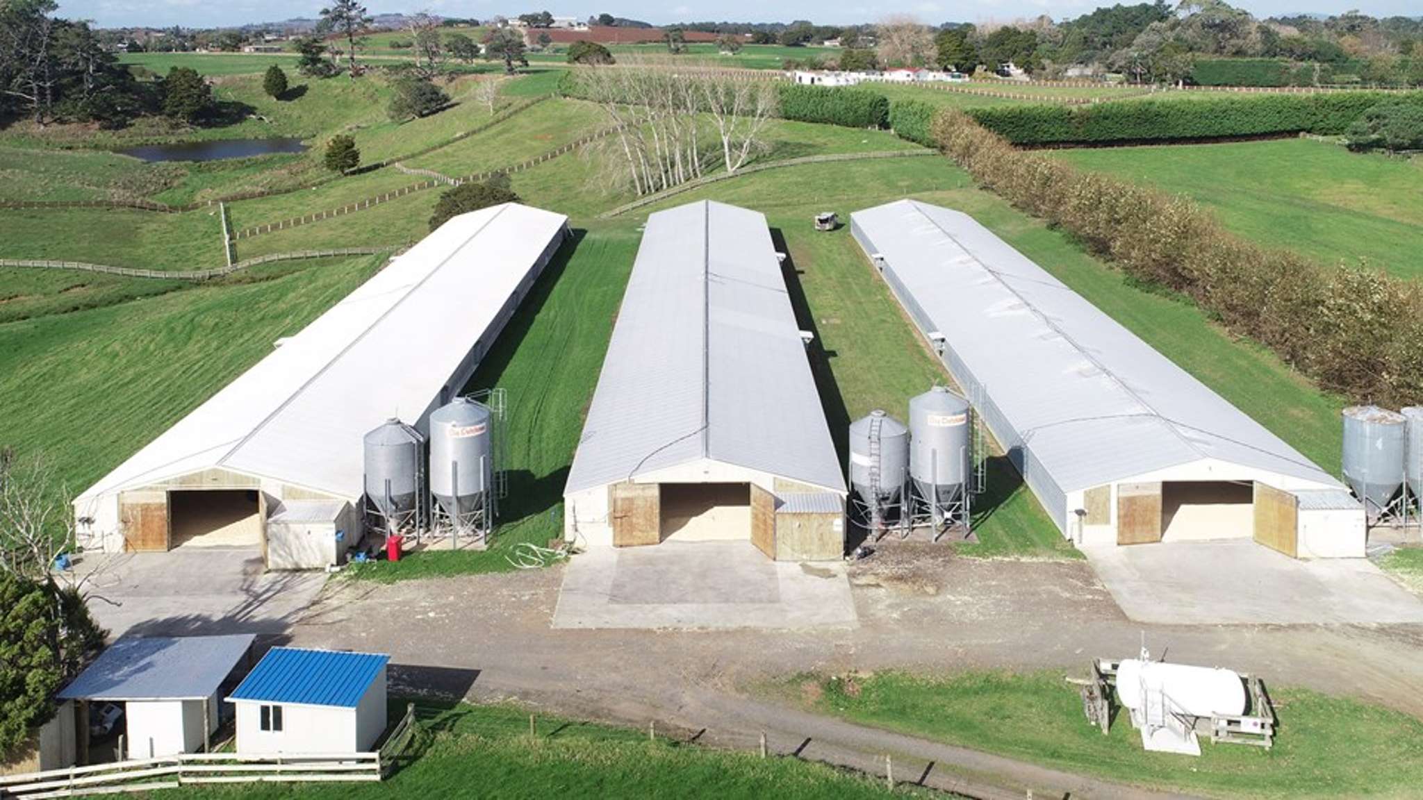 Poultry farm for sale has investors hatching their buy-out plans