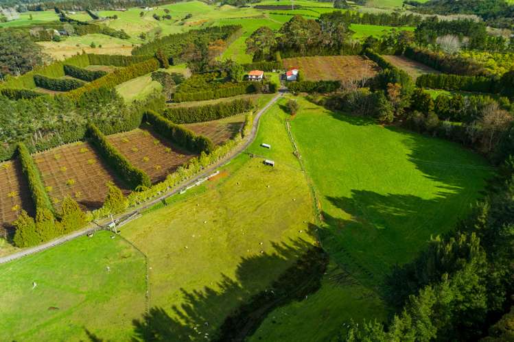 156a Lockington Road Aongatete_19