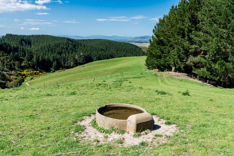 Waihola Hill Road Clarendon_3