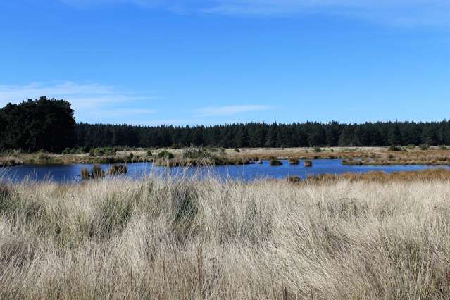 68 Te Kohanga Drive Pegasus_2