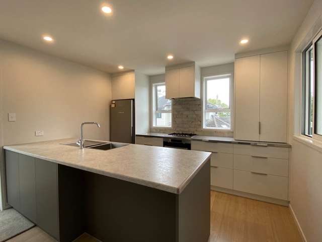 30C Ballin Street Ellerslie_1