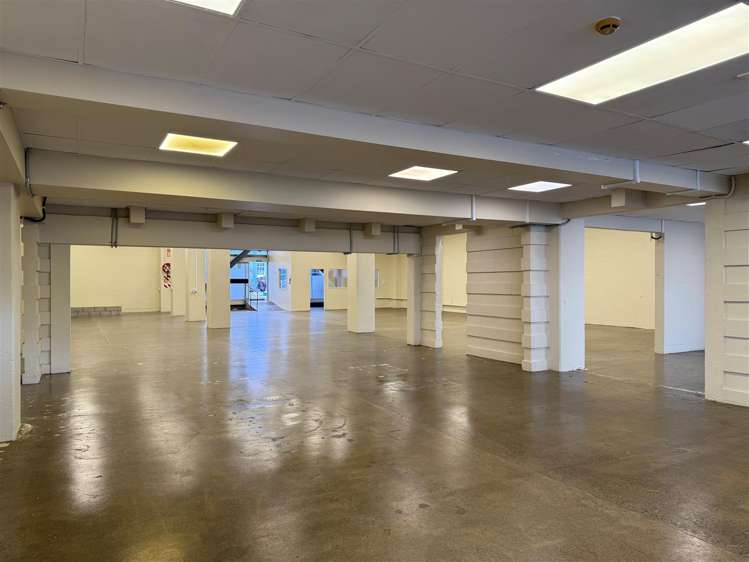 58 Adelaide Road Mount Cook_17