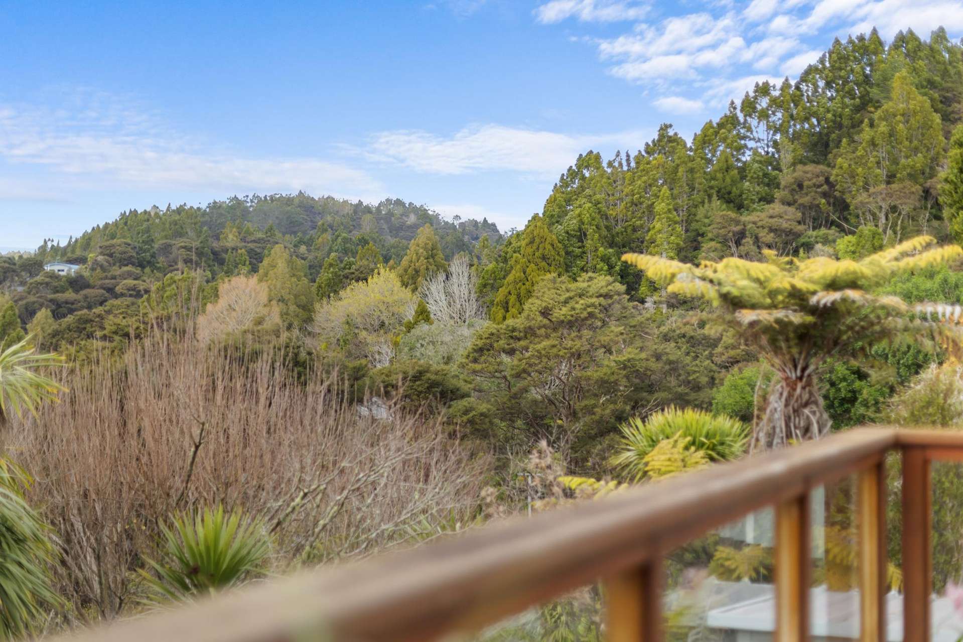 84 Shetland Street Glen Eden_0