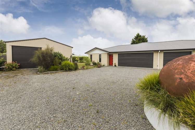 15d Aitken Street Bulls_18