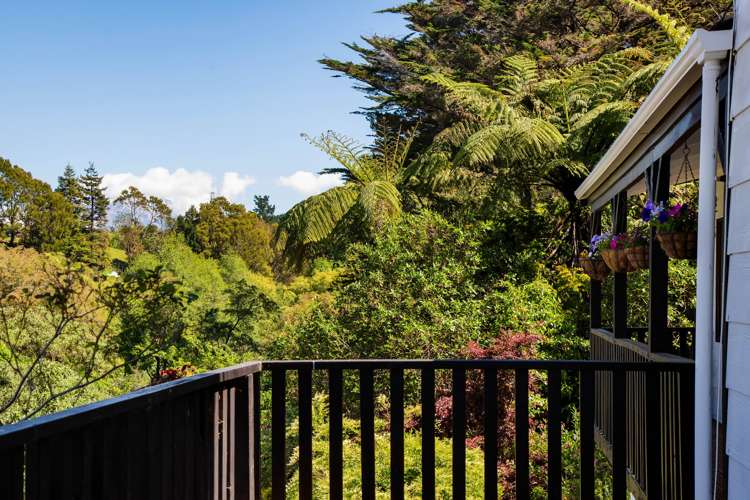 73a Heta Road Highlands Park_20