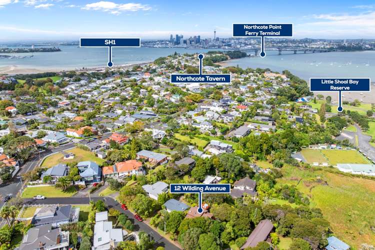 12 Wilding Avenue Northcote Point_36