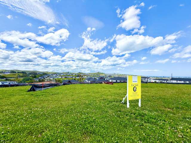 107 Skulander Crescent Millwater_1