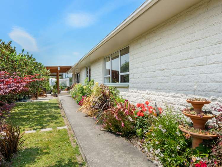 11 March Street Spring Creek_21