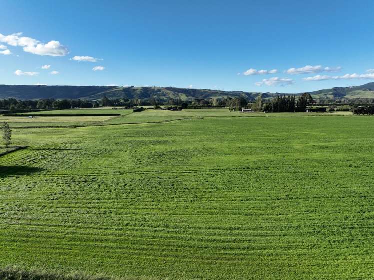 101 Dukes Road Mosgiel_10