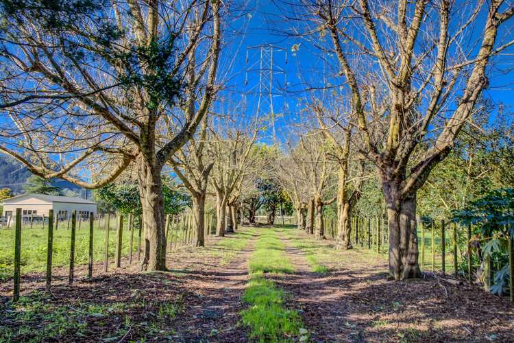 16 Parker Road Huntly_13