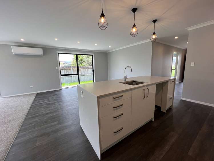 10 Sanson Place Levin_7