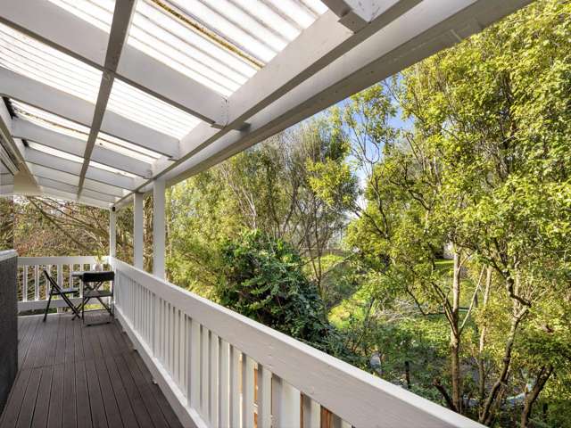 213 Maeroa Road Maeroa_1