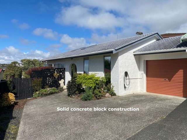 Solid Concrete Block and Tile